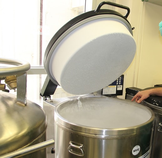 Embryo Freezing Does it Improve IVF Success Rates? CentraLIVF